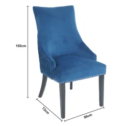 Annabelle Pleated Back Velvet Dining Chairs - Set Of 2 - Navy -Famous Furniture Store 13223766 6994926477174525