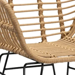 Ronnie Rattan Dining Chair - Set Of 2 -Famous Furniture Store 13644186 1804997056966623