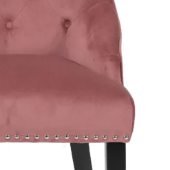 Annabelle Velvet Chairs - Set Of 2 - Rose 16 Annabelle Velvet Chairs - Set Of 2 - Rose -Famous Furniture Store 13667707 1404964355051834