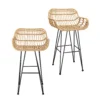 Ronnie Rattan Bar Stool - Set Of 2 -Famous Furniture Store 13863935 5725023398892233